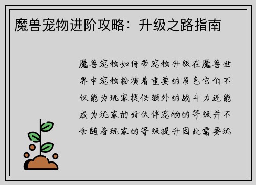 魔兽宠物进阶攻略：升级之路指南